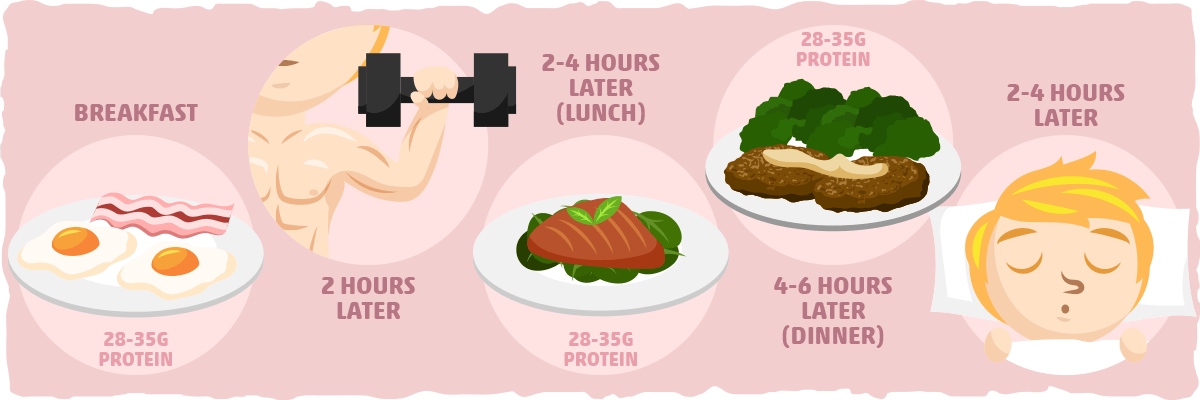 Nutrient Timing — The Practical Takeaway