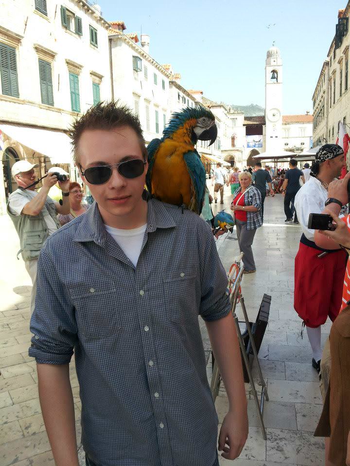 Parrot dubrovnik