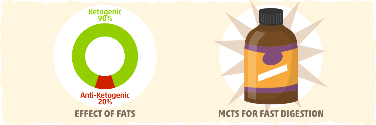 Fats and the Ketogenic Diet