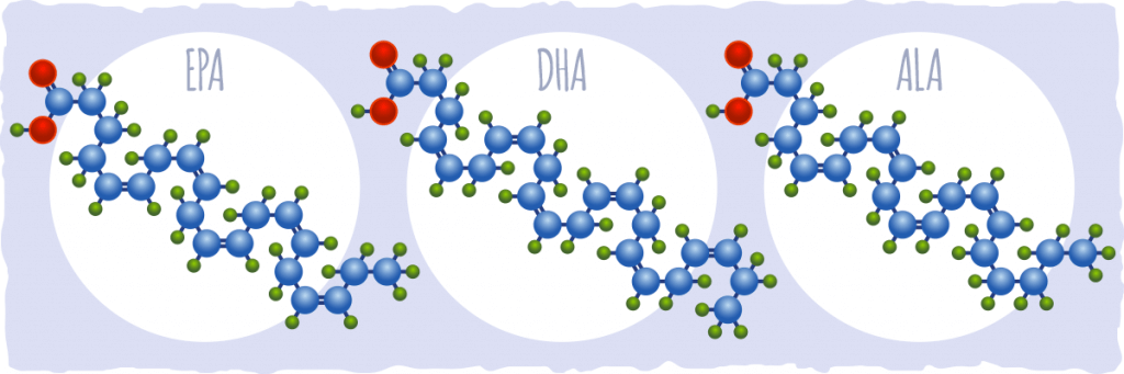 Omega 3s — Their Purpose and Recommended Intake