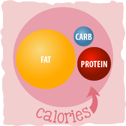 1. Track Your Calories