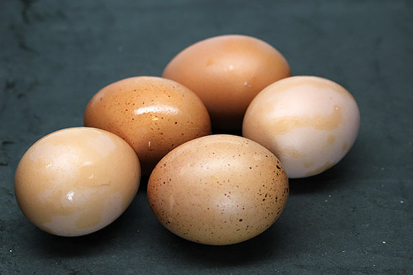 hard boil eggs