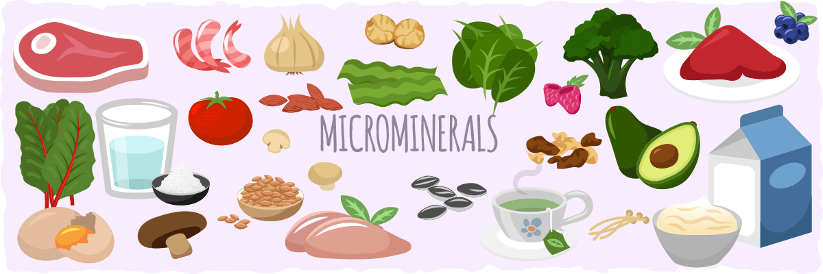 Microminerals — A Closer Look at Each One