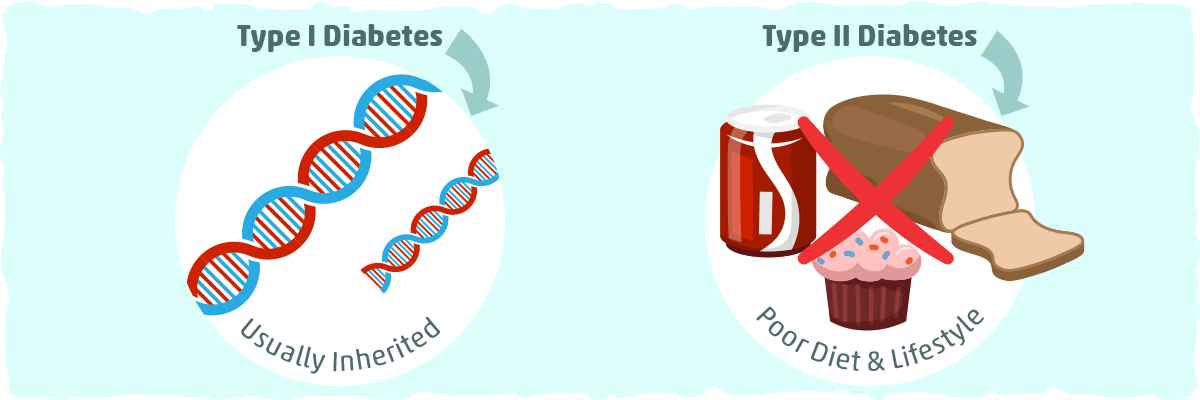 Cutting through the Fat: What is Diabetes?