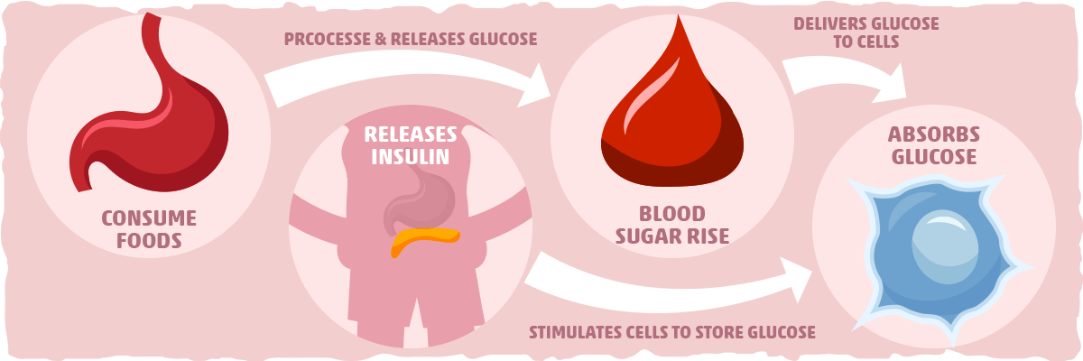 What is Insulin’s Role in the Body?