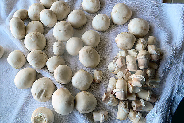 Herb Chicken and Mushroom Stew