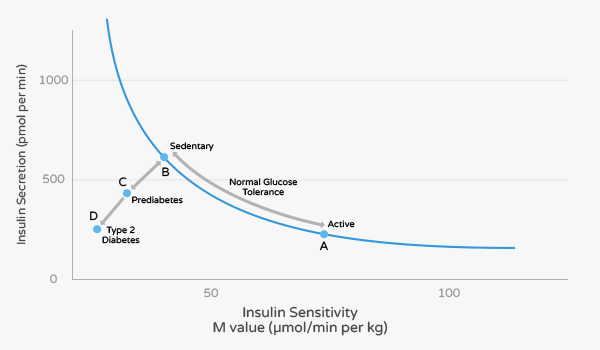 Insulin Sensitivity and Insulin Resistance