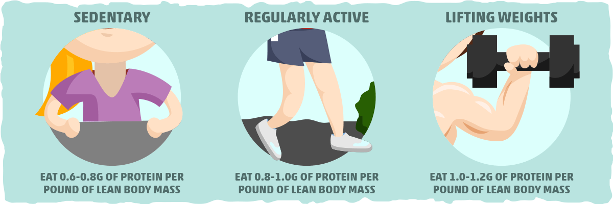 How Much Protein Should You Eat on the Keto Diet?