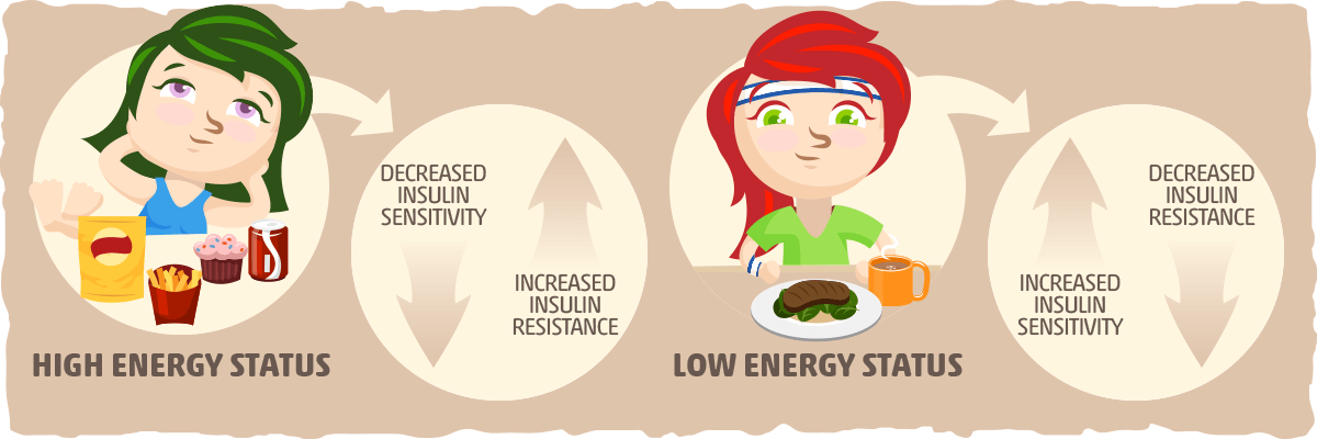 What Determines Your Insulin Sensitivity?