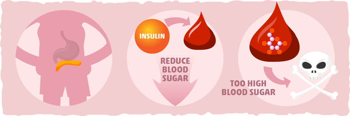 What is Insulin? The Lifesaving Effects of a Highly Misunderstood Hormone