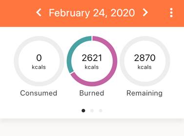 macronutrient progress bars